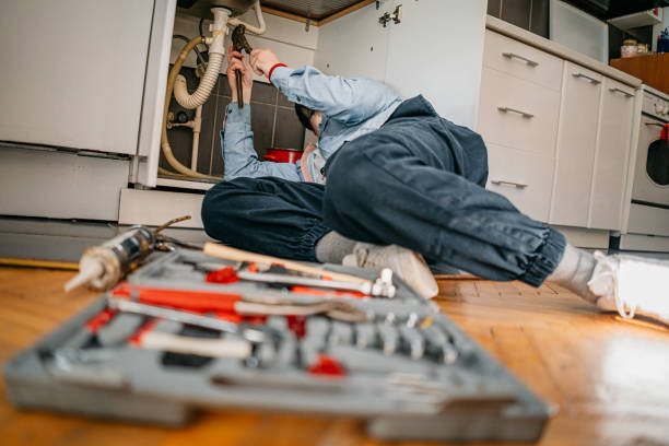 Sprinkler Systems in Pimlico, SC