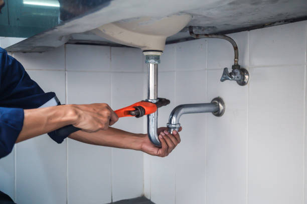 Best Local Plumber Services  in Pimlico, SC